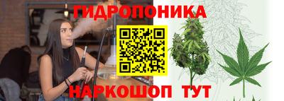 a pvp Апрелевка
