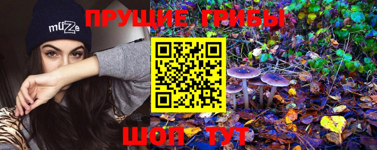 Галлюциногенные грибы Psilocybine cubensis  Вход с VPN  Галлюциногенные грибы GOLDEN TEACHER  Борисоглебск 
