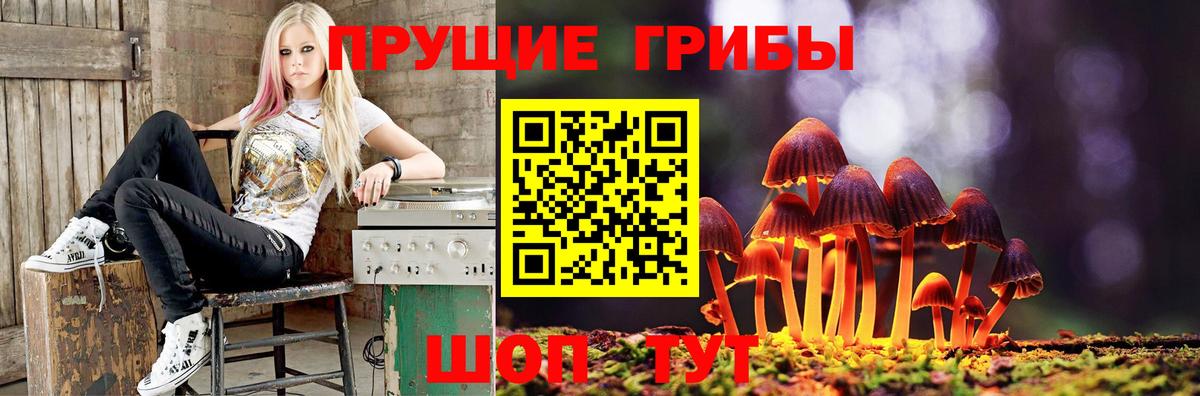 Галлюциногенные грибы ЛСД Борисоглебск